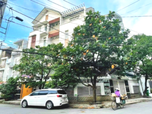 Biệt thự góc 2 mặt tiền